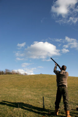 clay shooting canvas